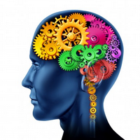 Kineziologie One Brain 4. stupeň – ONE BRAIN PRO POKROČILÉ/ ADVANCED ONE BRAIN